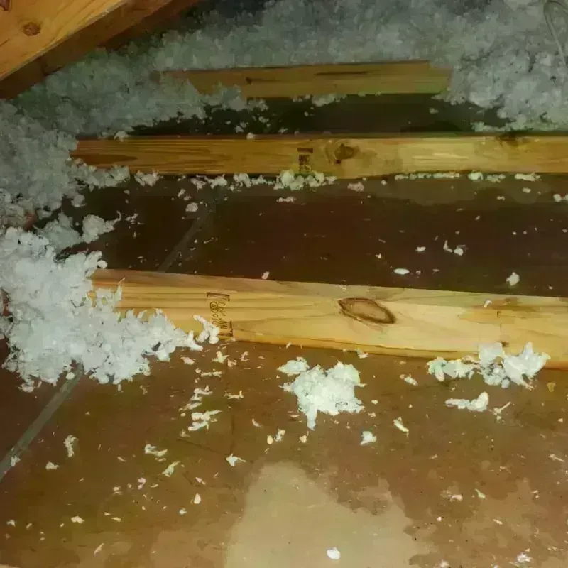 Attic Water Damage in Tremont, PA